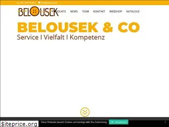 belousek.at