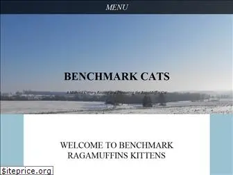 benchmarkcats.com