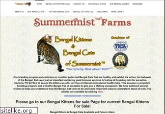 bengalkittens.org