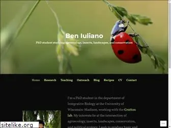 beniuliano.com