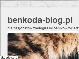 benkoda-blog.pl