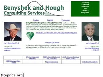 benyshek-hough.com