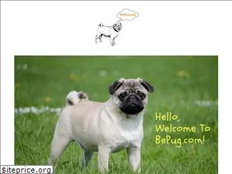 bepug.com