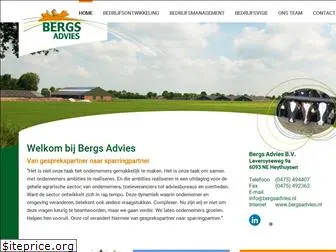 bergsadvies.nl