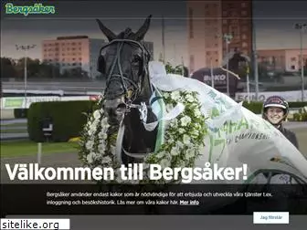 bergsaker.com