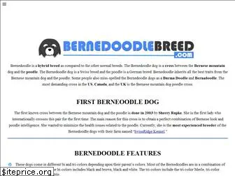 bernedoodlebreed.com