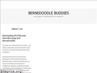 bernedoodlebuddies.com