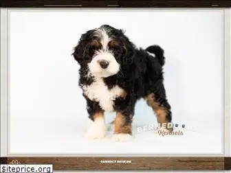 bernedoodlekennels.com