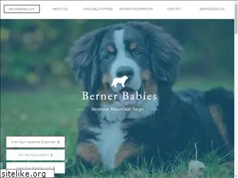 bernerbabies.com