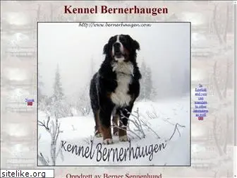 bernerhaugen.com