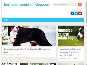 bernese-mountain-dog.com