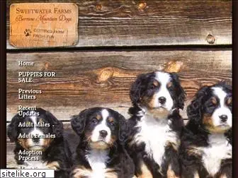 bernesemountaindogpuppies.com