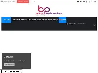 berrinpehlivan.com