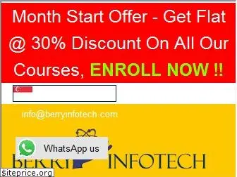 berryinfotech.com