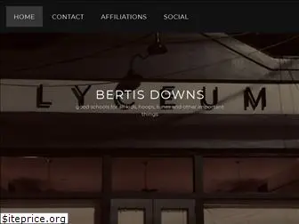 bertisdowns.com