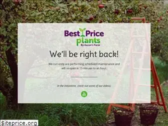 best-price-plants.com