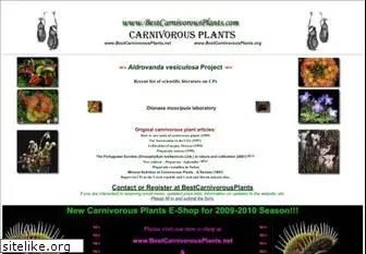 bestcarnivorousplants.com
