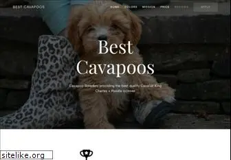 bestcavapoos.com