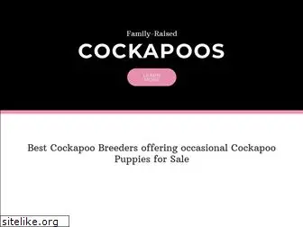 bestcockapoos.com