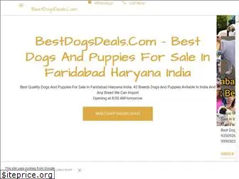 bestdogsdeals.com