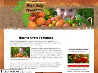 bestjuicytomatoes.com