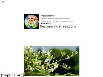 bestmoringatrees.com