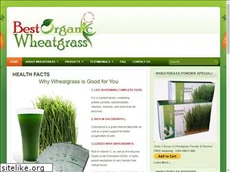 bestorganicwheatgrass.com