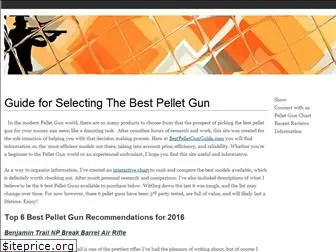 bestpelletgunguide.com