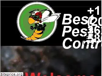 bestpestboise.com