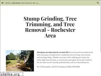 bestrochestertreeservice.com