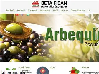 betafidan.com.tr