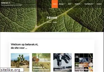 betavak.nl