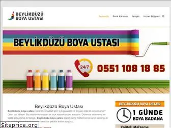 beylikduzuboyaustasi.com