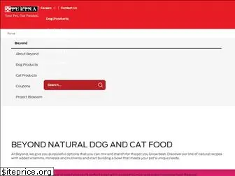 beyondpetfood.com