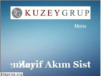 bgkuzeygrup.com
