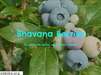 bhavanaberries.com
