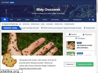 bialyowczarek.pl