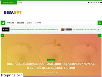 bibasvt.com