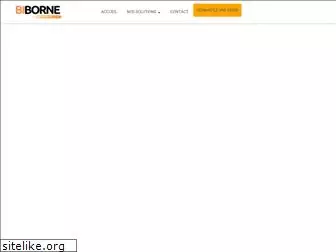 biborne.com