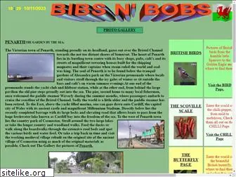 bibsnbobs.co.uk