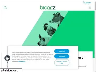 bicarz.com