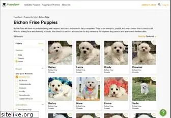 bichonfrisepuppiesforsale.net