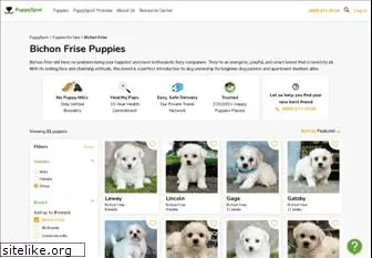 bichonpuppiesforsale.net