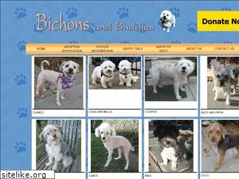 bichonsandbuddies.com