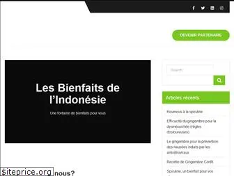 bienfaits-indonesie.com