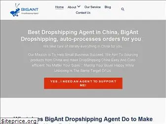 bigantdropshipping.com