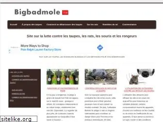 bigbadmole.com