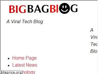 bigbagblog.com