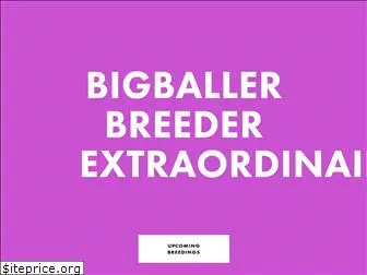 bigballerkennels.com