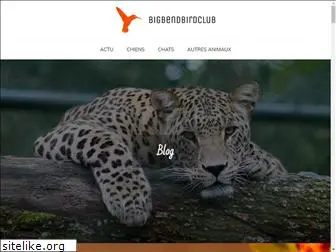 bigbendbirdclub.com